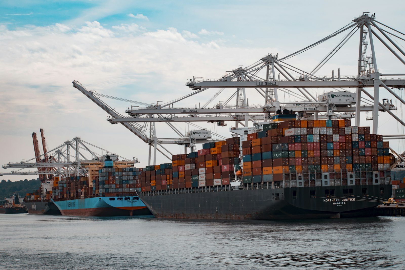 Container ships under port cranes